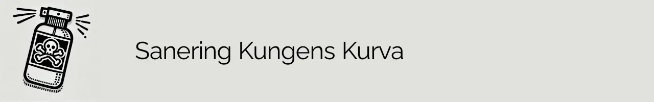 Sanering Kungens Kurva